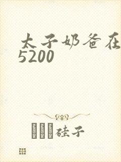 太子奶爸在花都5200