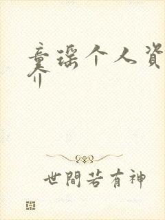 童瑶个人资料简介