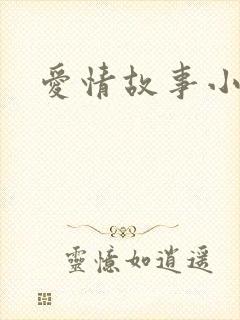 爱情故事小说封面