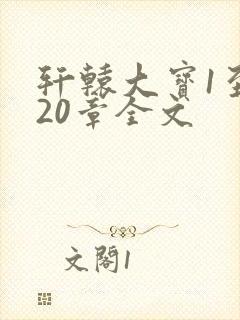 轩辕大宝1至720章全文封面