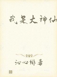 我是大神仙小说封面