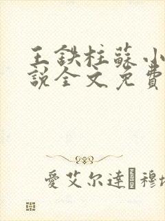 王铁柱苏小汐小说全文免费阅读最新章节