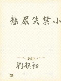 憋尿失禁小说封面