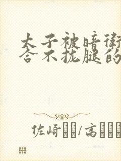 太子被暗卫c到合不拢腿的后果