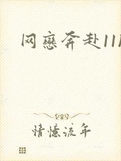 网恋奔赴11h封面