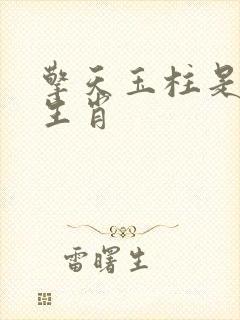 擎天玉柱是什么生肖封面