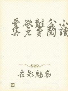 爱欲难分小说全集免费阅读封面