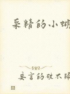 采精的小蝴蝶封面