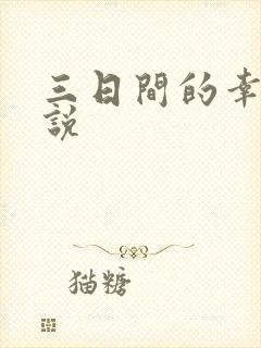 三日间的幸福小说封面