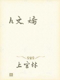 h文 娇封面