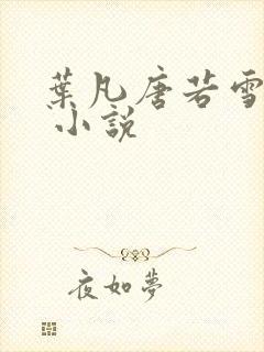 叶凡唐若雪医婿 小说