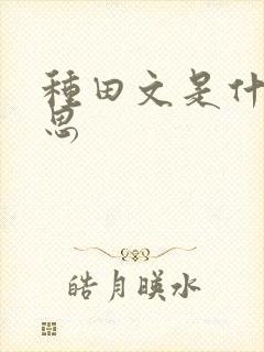 种田文是什么意思