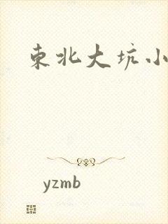 东北大坑小说