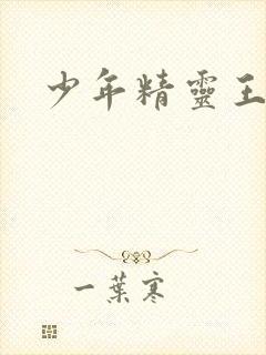 少年精灵王