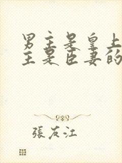 男主是皇上,女主是臣妻的小说封面