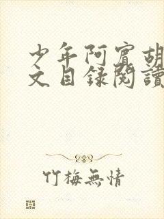 少年阿宾胡太全文目录阅读在线