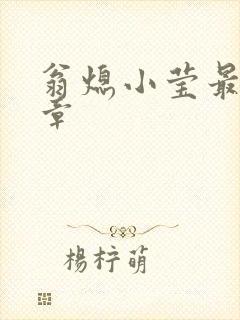 翁熄小莹最新节章封面