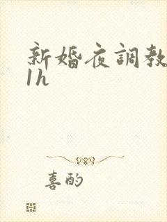 新婚夜调教1v1h