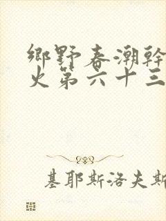 乡野春潮干柴烈火第六十三章