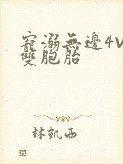 宠溺无边4V2双胞胎