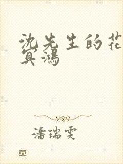 沈先生的花式调冥鸿