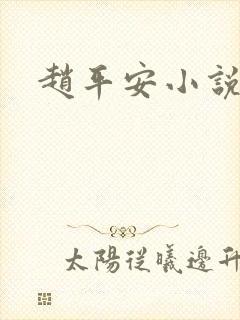 赵平安小说主角封面