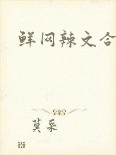 鲜网辣文合集