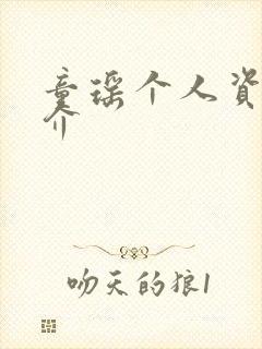 童瑶个人资料简介