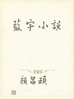 蓝宇小说