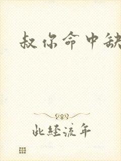 叔你命中缺我封面