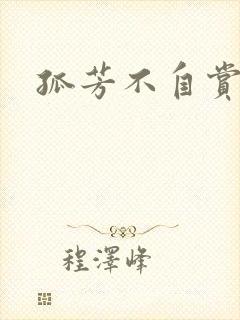 孤芳不自赏小说