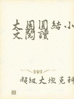 大团圆结小茹全文阅读