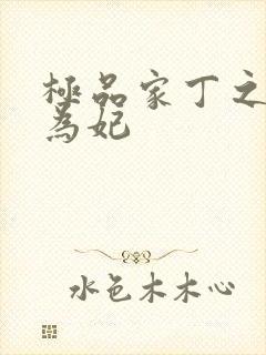 极品家丁之册母为妃