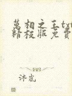 万相之王txt精校版免费阅读