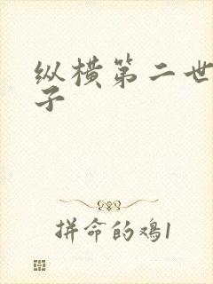 纵横第二世界宽子封面