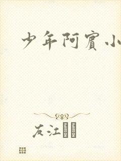 少年阿宾小说封面