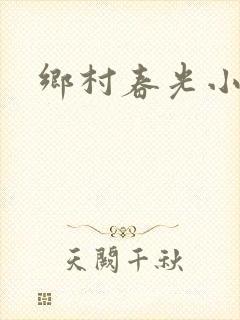 乡村春光小说