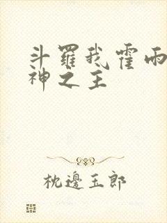 斗罗我霍雨浩精神之主