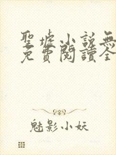 圣墟小说无弹窗免费阅读全文封面