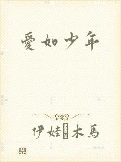爱如少年