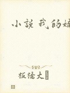 小说 我的娇妻