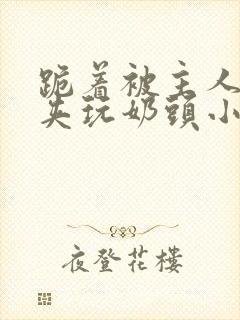 跪着被主人用乳夹玩奶头小说