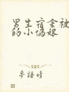 男生宿舍被调教的小伪娘封面