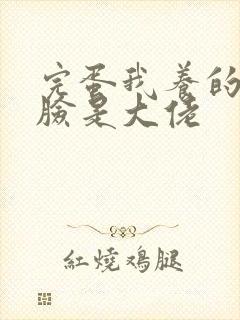 完蛋我养的小白脸是大佬