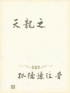 天龙之封面
