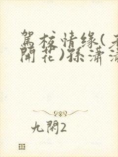 驾校情缘(老树开花)孙潇潇笔趣阁