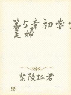 第5章初尝云雨美妇
