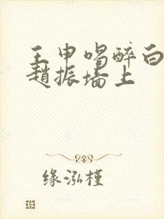 王申喝醉白洁被赵振墙上封面