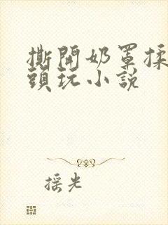 撕开奶罩揉吮奶头玩小说