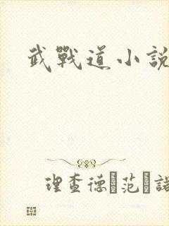 武战道小说